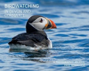 Birdwatching in Devon and Cornwall: A Photographic Journal