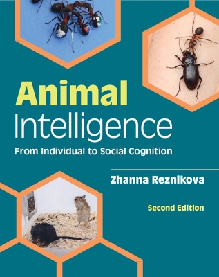 Animal Intelligence: From Individual to Social Cognition