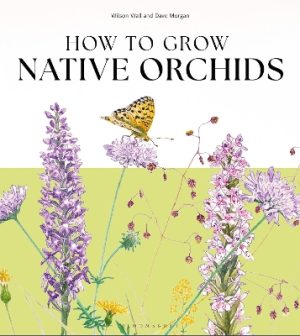 How to Grow Native Orchids