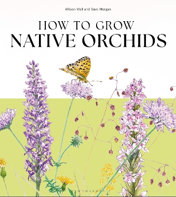 How to Grow Native Orchids