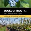 Blueberries