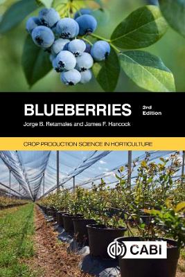 Blueberries