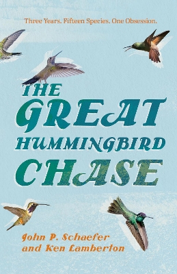 The Great Hummingbird Chase
