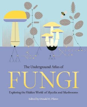 The Underground Atlas of Fungi: Exploring the Hidden World of Mycelia and Mushrooms