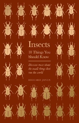 Insects: 10 Things You Should Know