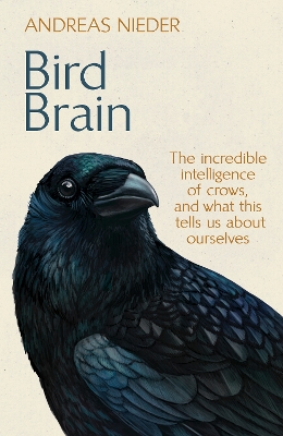 Bird Brain: The Incredible Intelligence of Crows, and What This Tells Us About Ourselves