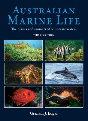 Australian Marine Life: The Plants and Animals of Temperate Waters - Third Edition