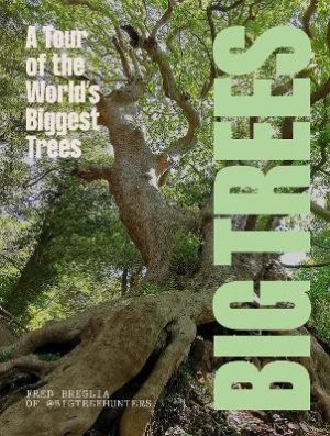 BIG TREES: A tour of the world's biggest trees