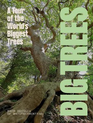 BIG TREES: A tour of the world's biggest trees