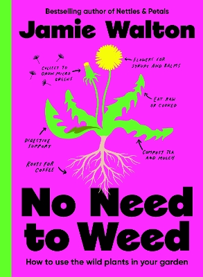 No Need to Weed: How to use the wild plants in your garden