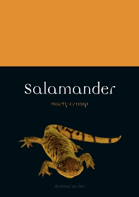 Salamander