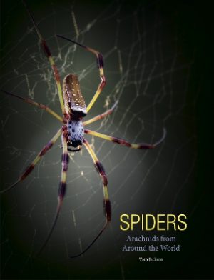 Spiders: Arachnids from Around the World