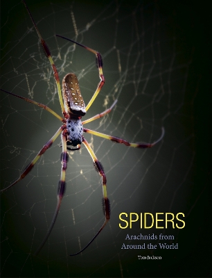Spiders: Arachnids from Around the World