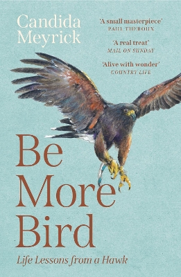 Be More Bird: Life Lessons from a Hawk