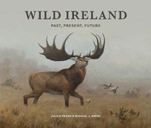 Wild Ireland: Past, Present, Future