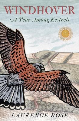 Windhover: A Year Among Kestrels