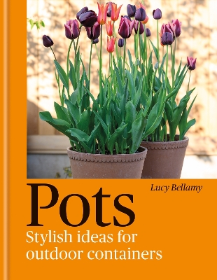 Pots: Stylish Ideas for Outdoor Containers