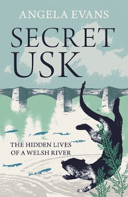 Secret Usk: The Hidden Lives of a Welsh River